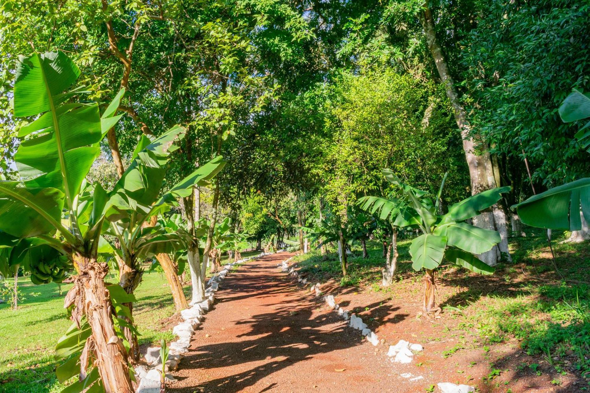 Colonial Iguacu Hotel